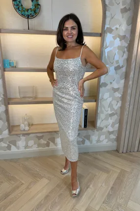 Alana Sequin Dress In Silver