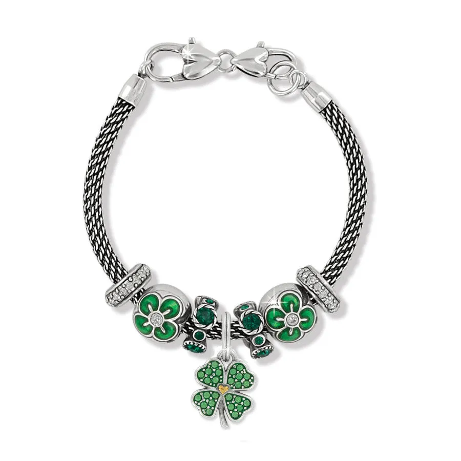 Clover Charm Bracelet