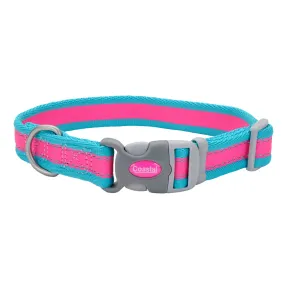 Pro Reflective Adjustable Dog Collar, Pink and Blue, XS